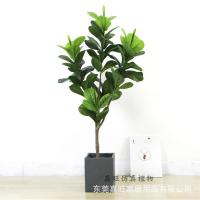 uploads/erp/collection/images/Home Garden/dgjiawang/XU0612608/img_b/XU0612608_img_b_4